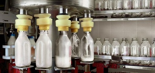 “中国小康牛奶行动”启动 中国奶业短板与潜力背后的深思